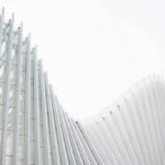 luca-bravo-198062-unsplash