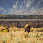 tim-peterson-1099515-unsplash